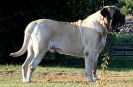 CASPER