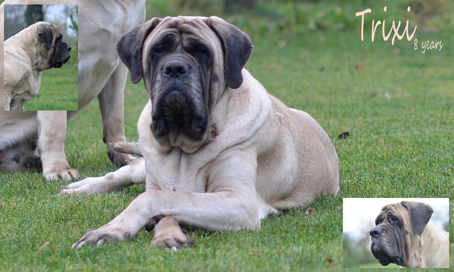 trixi 8 years