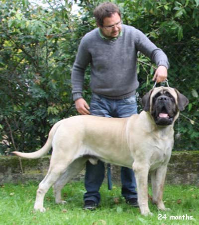 casper 24 m
