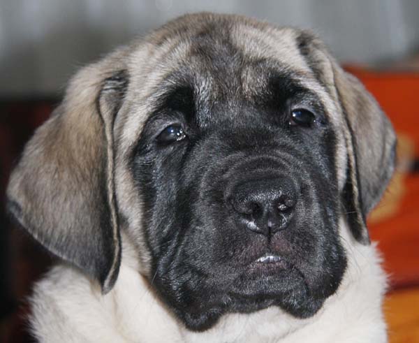 feebee 8 weeks