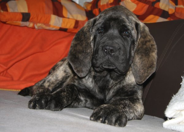 12 weeks