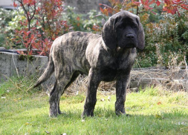 12 weeks