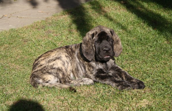 12 weeks