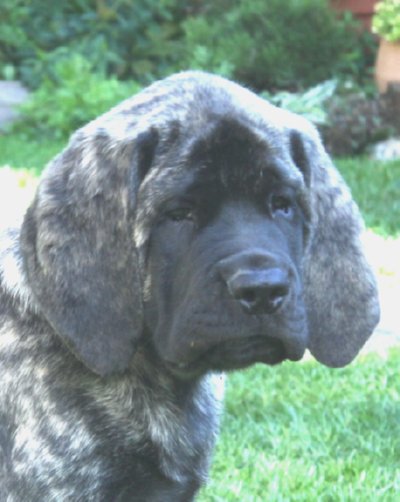 12 weeks