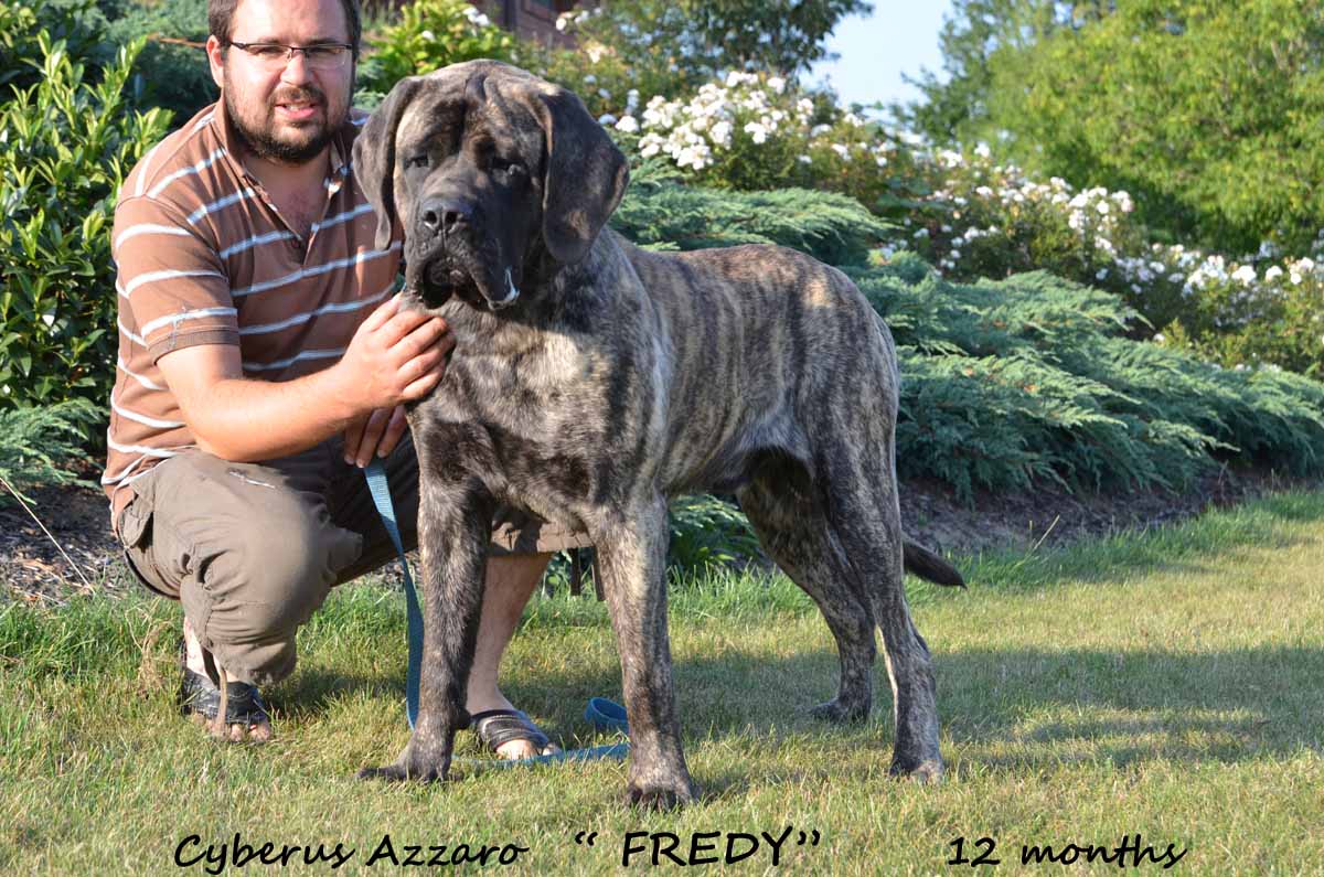 fredy 1year