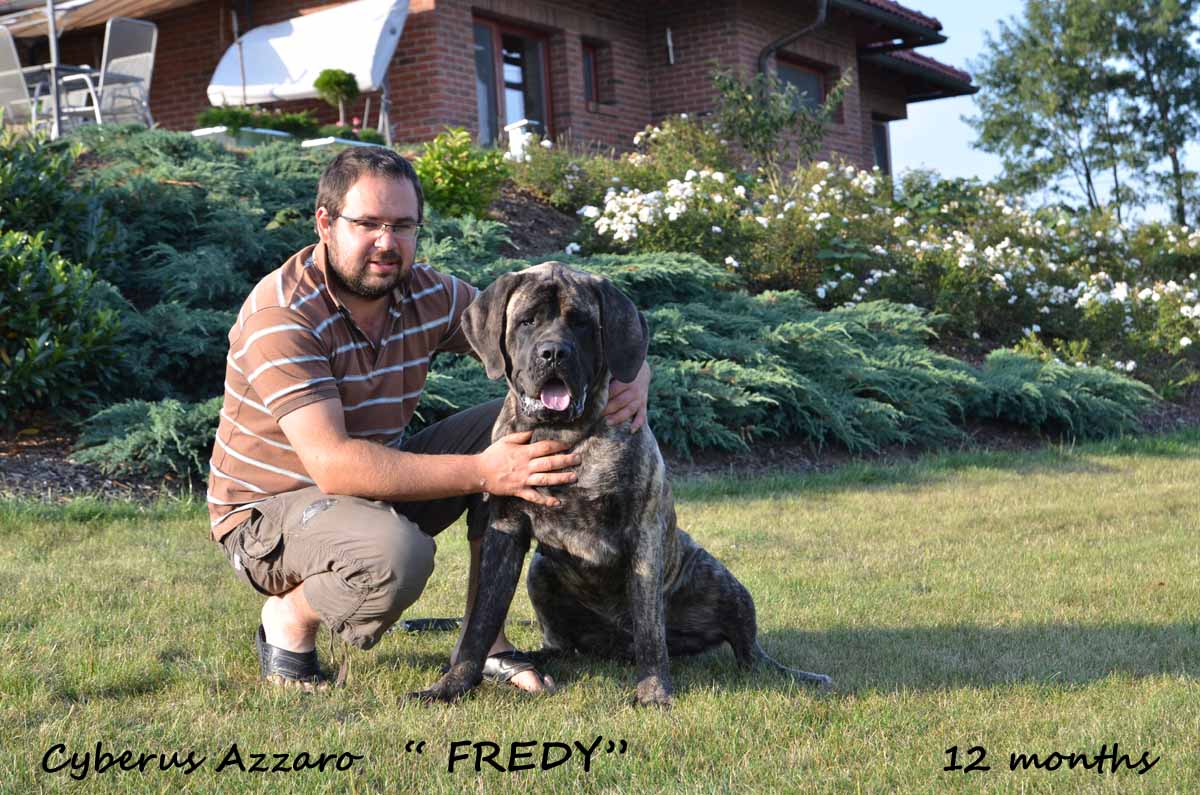 fredy