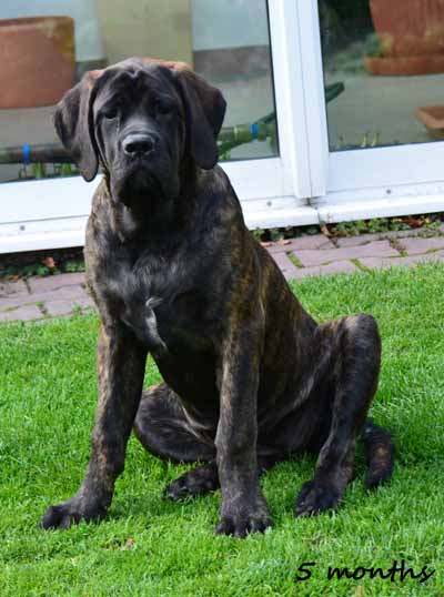 shira 5 months