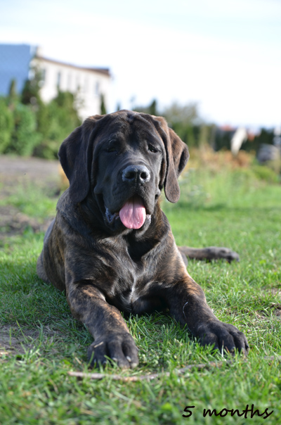 shira 5 months