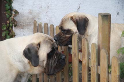casper a trixi casper a trixi