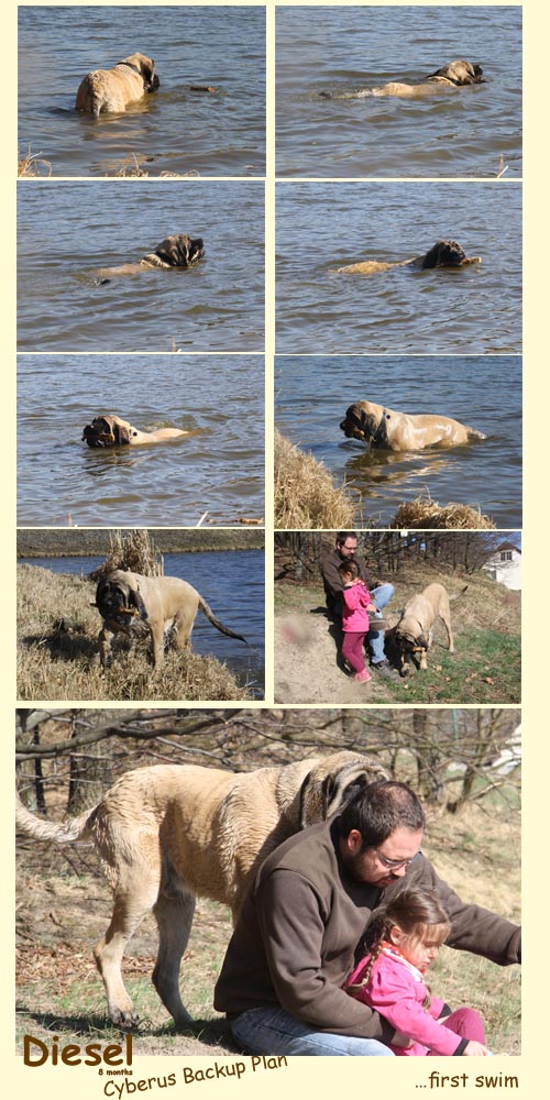 diesel ´s first swim