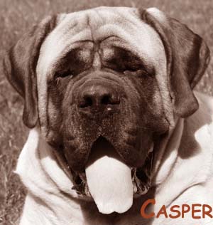 casper casper