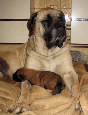 9 dn / 9 days old