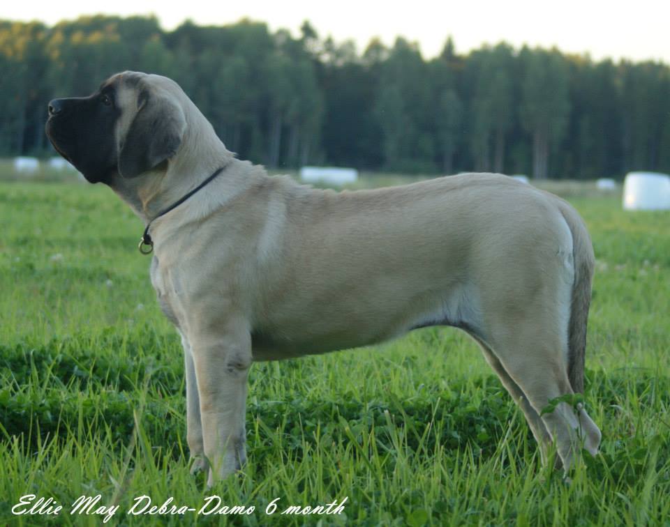 ellie mae 6 months