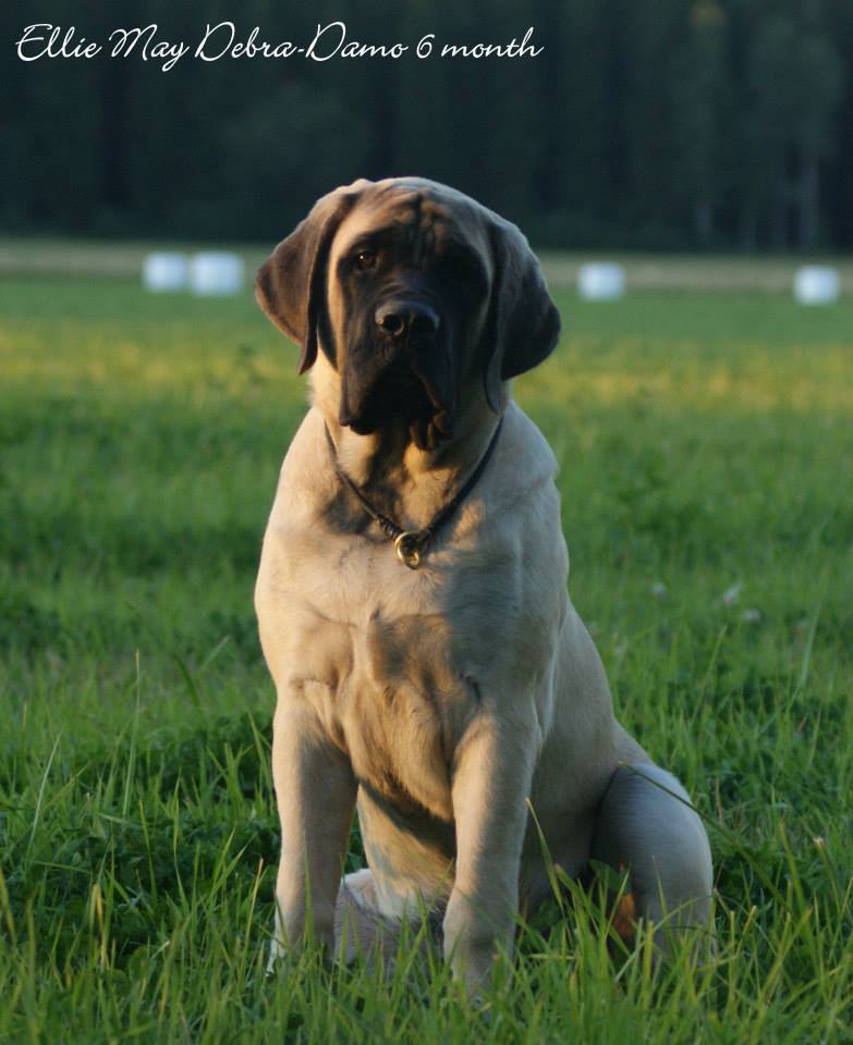 ellie mae 6 months
