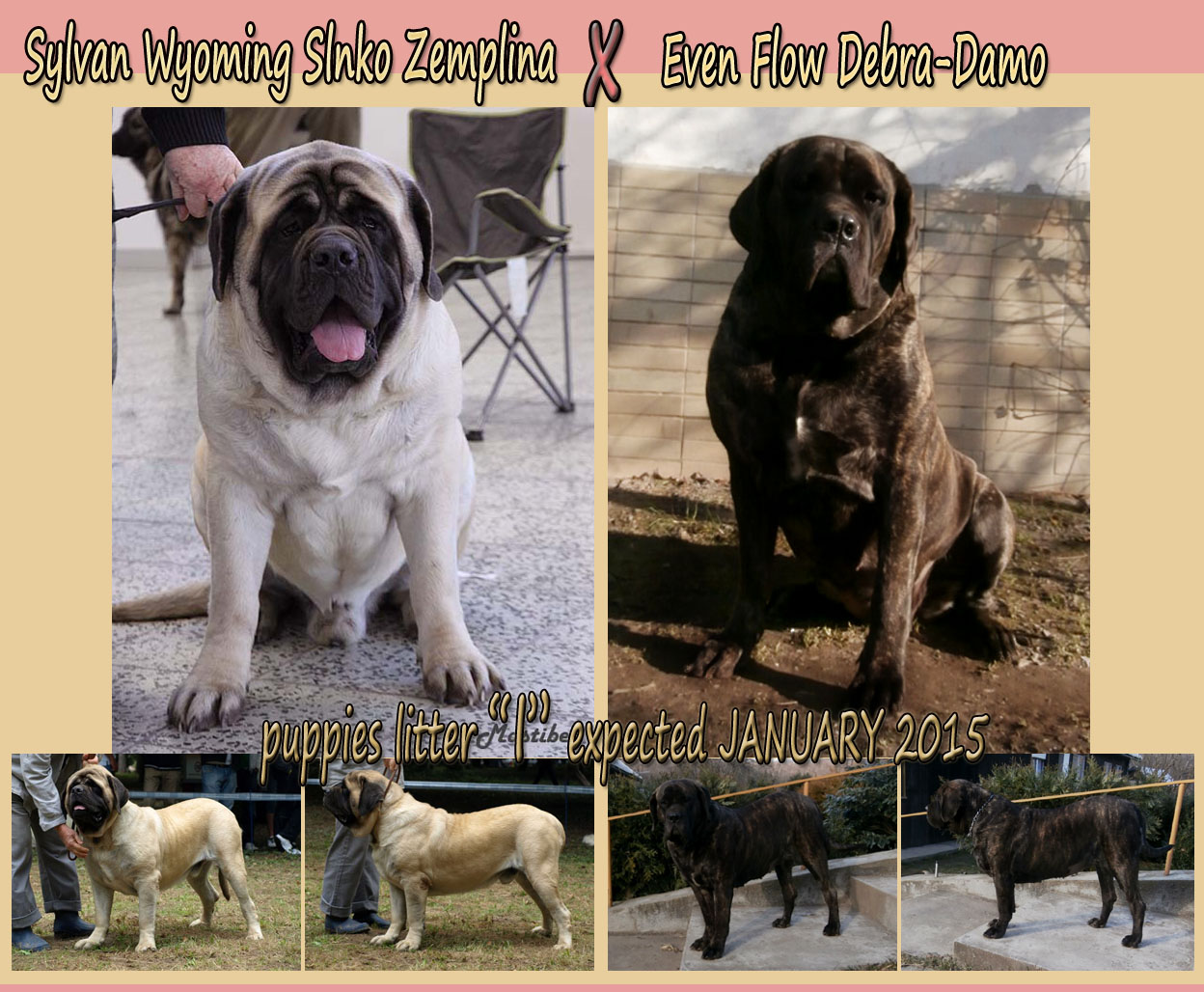 even flow x sylvan wyoming
