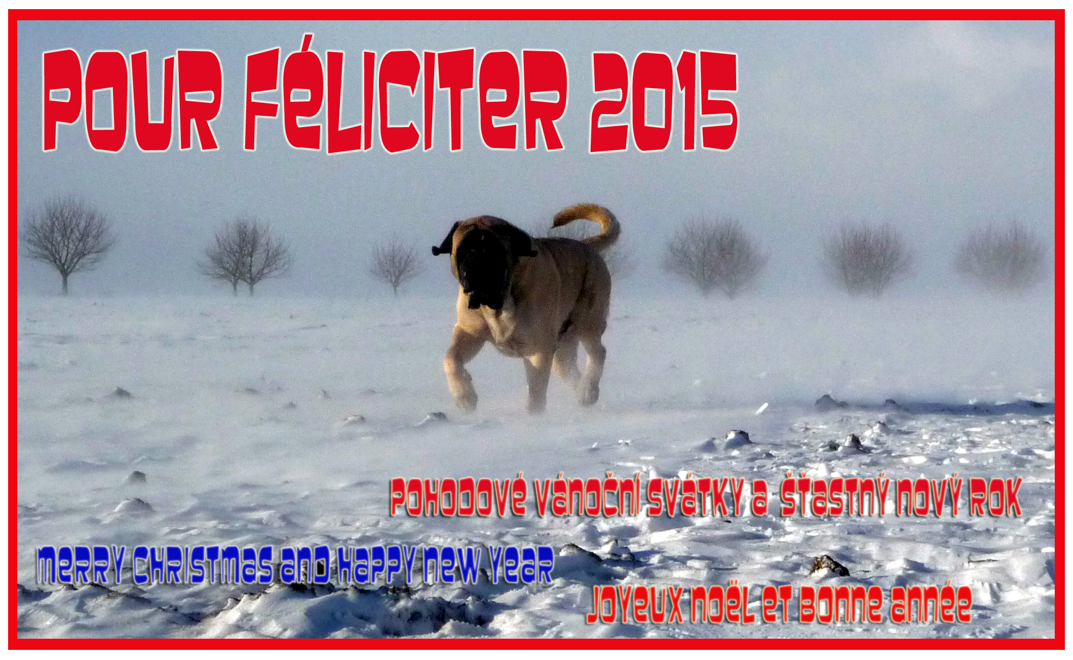 PF 2015 PF 2015