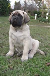 casper