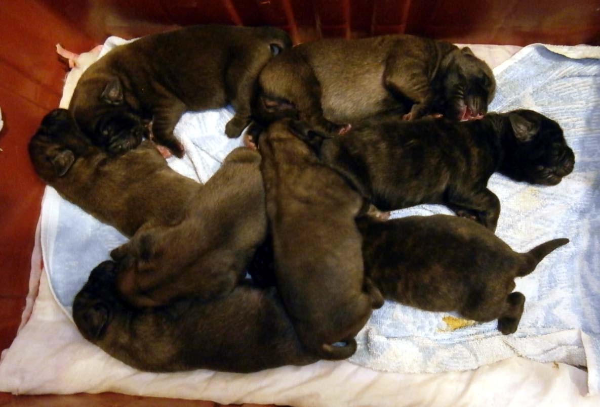LITER I FIRST DAY